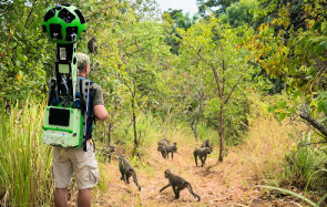 Der Google Street View Trekker war diesmal in Tansania unterwegs und ist den Spuren von Jane Goodall gefolgt. Seine Aufnahmen bringen virtuell Reisenden nun den Gombe Nationalpark auf den Bildschirm. 