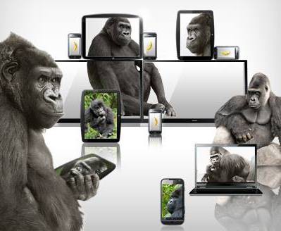 Gorillas zeigen Tablets 