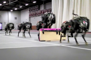 MIT-Roboter springt über Hindernis