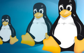 Tux Pinguin Linux 