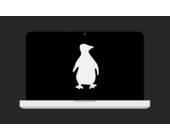 Linux-Computer