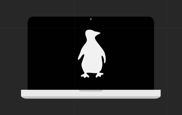 Linux-Computer 