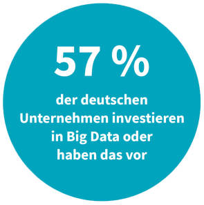 Deutsche Unternehmen - Investment in Big Data