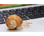 Schnecke auf Laptop