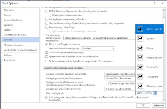 Einstellung zum Einfügen von Bildern in Word