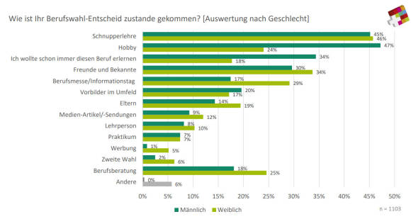 Wie ist Ihr Berufswahl-Entscheid zustande gekommen? 