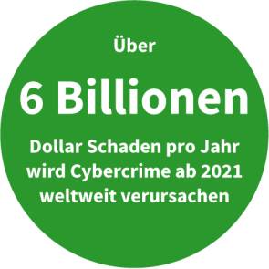 Weltweiter Schaden durch Cyber Crime ab 2021