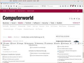 Firefox mit dem Enwicklertools-Kasten