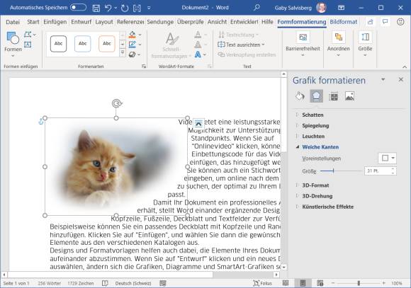 Kätzchenbild im Word-Dokument mit weichen Kanten