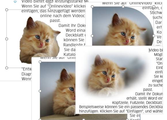 Collage aus verschiedenen Bilddarstellungen in einem Word-Dokument Collage aus verschiedenen Bilddarstellungen in einem Word-Dokument