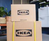 Kisten Kartons Ikea Pflanzen Umzug