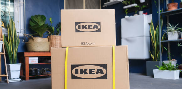 Kisten Kartons Ikea Pflanzen Umzug 