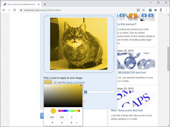 Screenshot Katzenfoto gelb