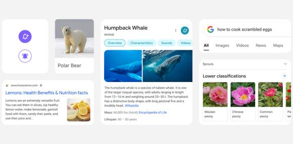Googles mobile Suche 