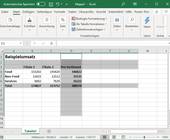 Screenshot Excel-File mit markierten Spalten und Zeilen