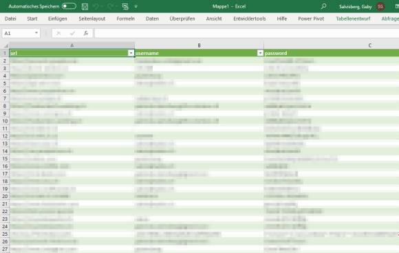 Screenshot mit verpixelten Passwörtern in Excel Screenshot mit verpixelten Passwörtern in Excel