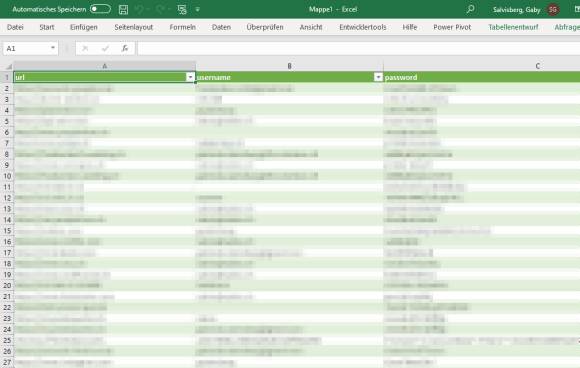 Screenshot mit verpixelten Passwörtern in Excel 