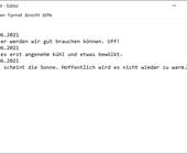 Screenshot Notepad-Editor mit Log-Funktion