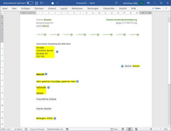 Screenshot Word-Briefentwurf mit markierten Feldern 