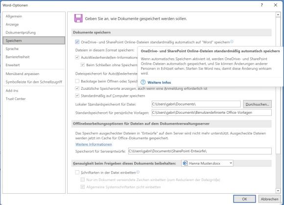 Screenshot Word Speicheroptionen