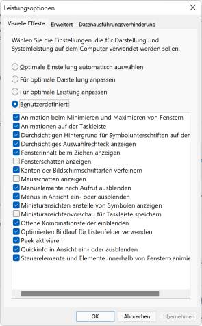 Screenshot Leistungsoptionen