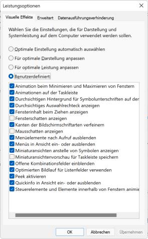Screenshot Leistungsoptionen