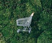 Einkaufswagen auf Gras