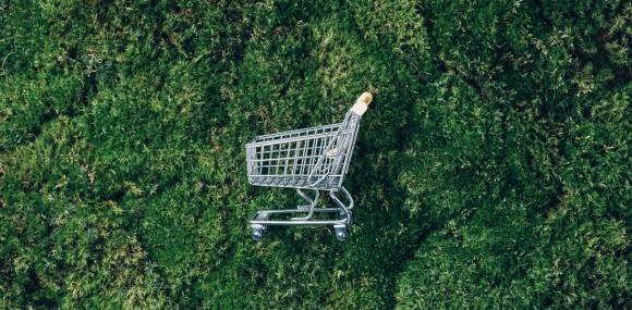 Einkaufswagen auf Gras 