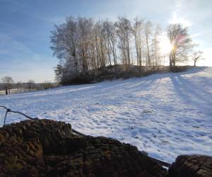 Winterstimmung mit Weitwinkelkamera