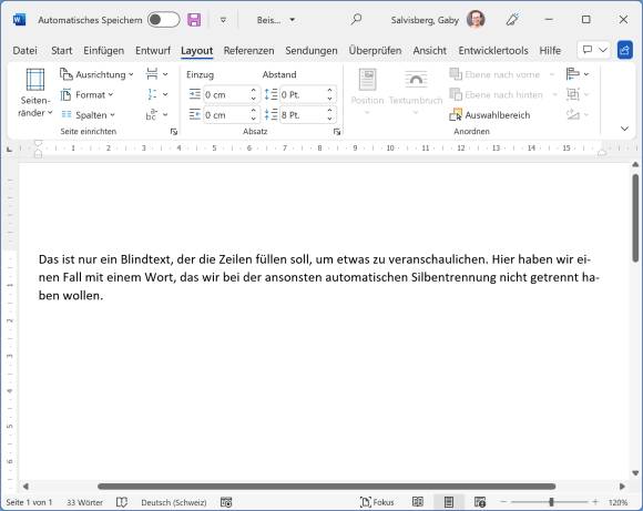 Screenshot Word-Beispieltext 