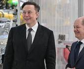 Musk und Scholz