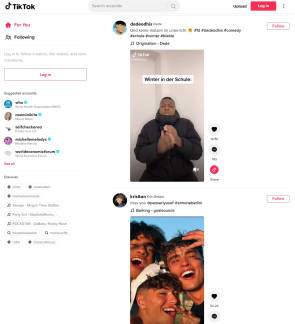 Screenshot TikTok