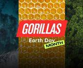 Gorillas Earth Day Aktion