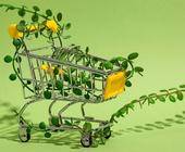Einkaufswagen mit grünen Blättern