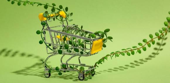 Einkaufswagen mit grünen Blättern 