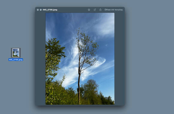 Der Screenshot zeigt eine Bilddatei mit einem Baum; daneben zeigt Quick Look den Dateiinhalt im Detail