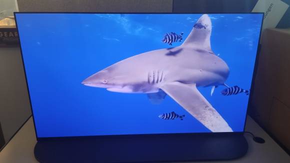 Gerät zeigt einen Hai, umgeben von schwarzweiss gestreiften Pilotfischen