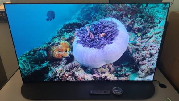 Der Fernseher zeigt eine Unterwasser-Landschaft