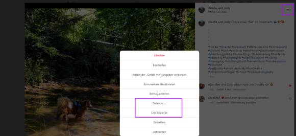 Insta-Beitrag teilen