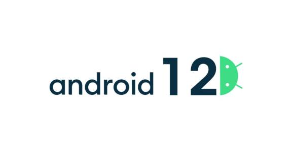 Das Logo von Android 12 