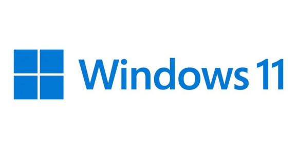 Das Windows-11-Logo 
