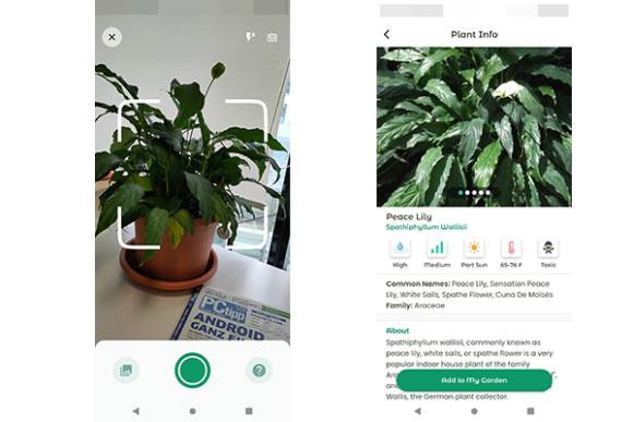 Zwei Screenshots aus der Plantiary-App 