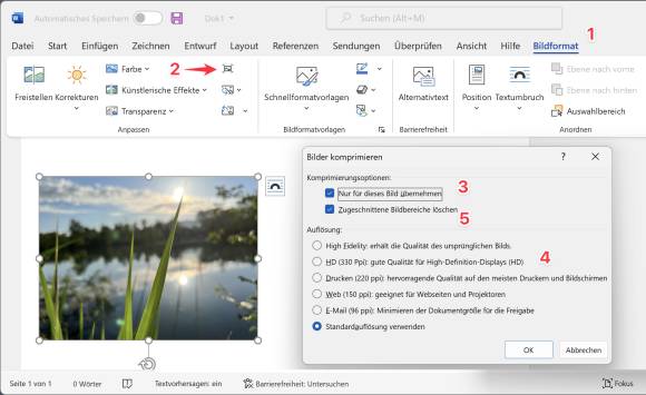 Der Screenshot zeigt, wie ein Bild in einer Word-Datei nachträglich komprimiert wird