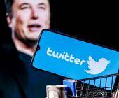 Elon Musk und Twitter App in Einkaufswagen