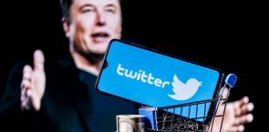 Elon Musk und Twitter App in Einkaufswagen 