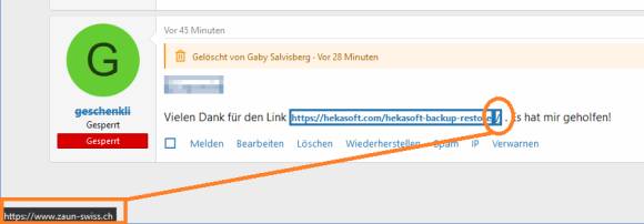 Screenshot eines SEO-Spam-Posts mit einem in nur einem Schrägstrich versteckten Link