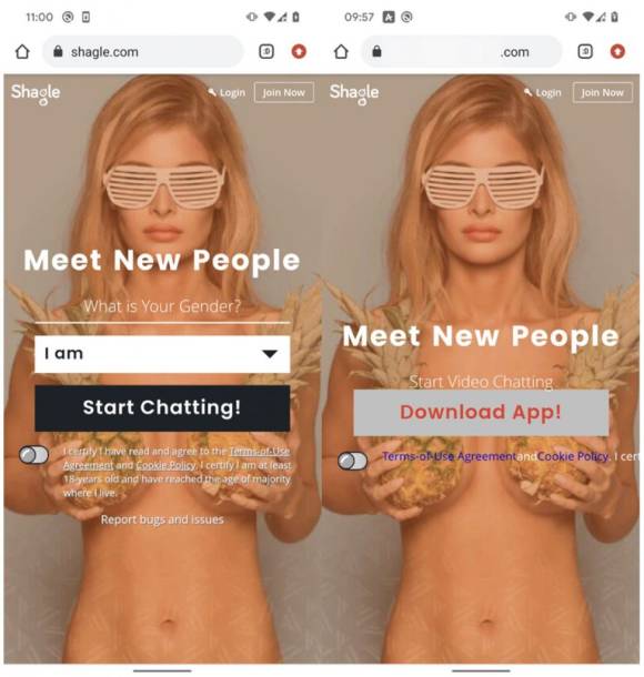 Zwei Screenshots vergleichen die gefälschte und echte Shagle-Seite