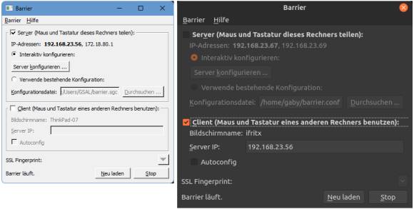 Die Einrichtungsdialoge des Servers unter Windows und Clients unter Linux