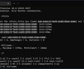 Der Ping-Befehl in der Eingabeaufforderung zeigt nur die IPv6-Adresse