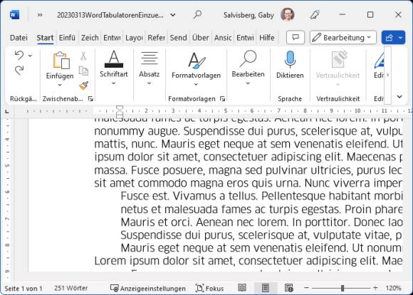 Beispieltext mit einem einzelnen, links eingezogenen Absatz